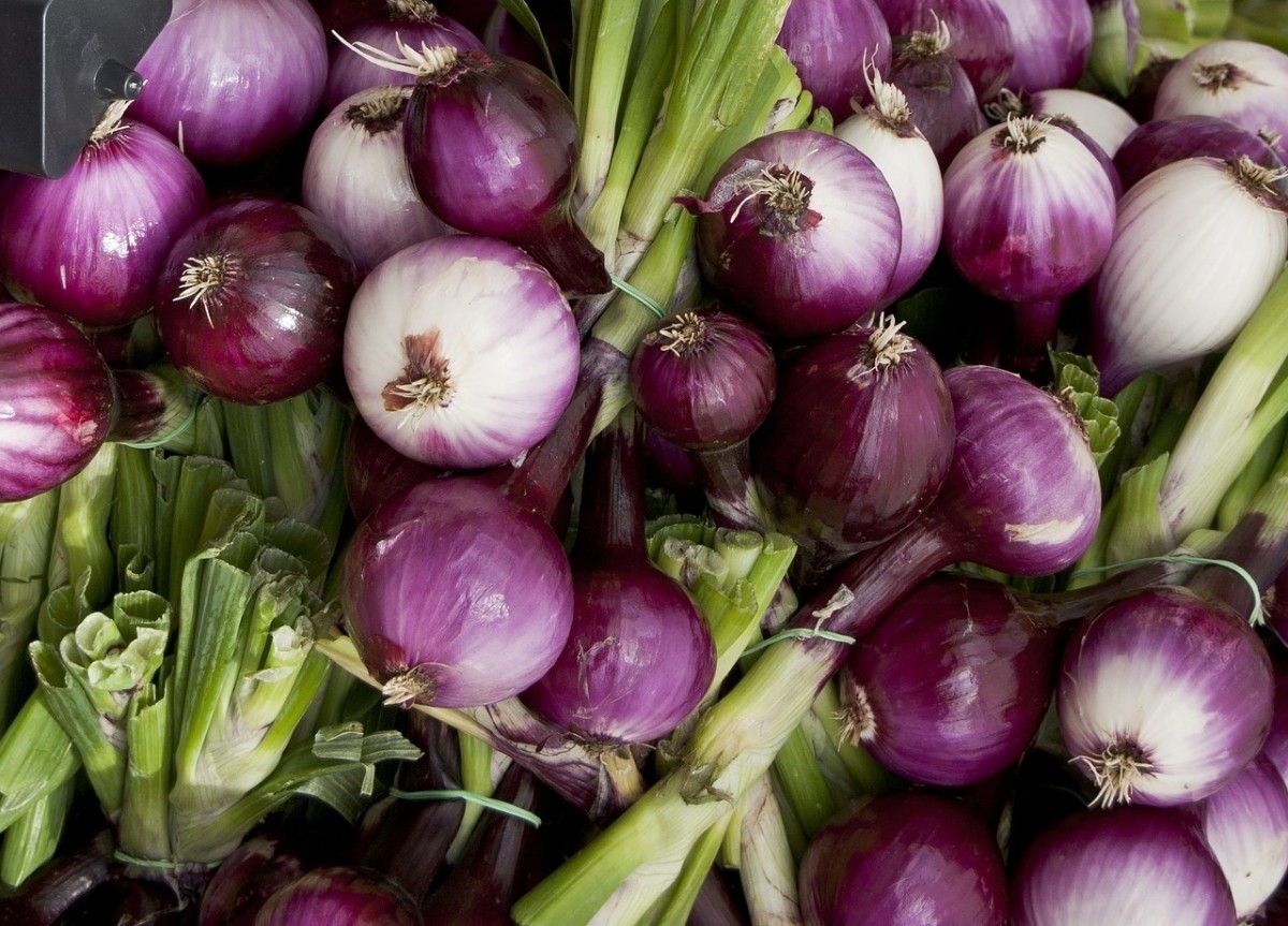 Spring onions are onions that are harvested early, but not as early as green onions.