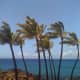 best-beaches-on-the-big-island-of-hawaii