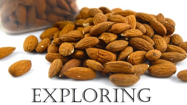exploring-almonds