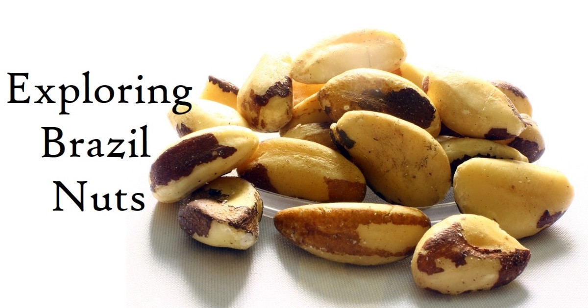 Brazil nuts have a unique flavor and texture