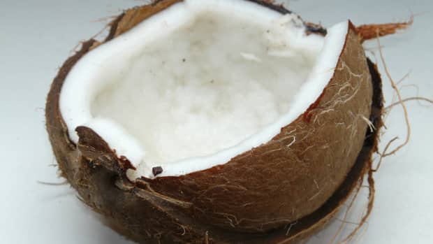 exploring-coconut