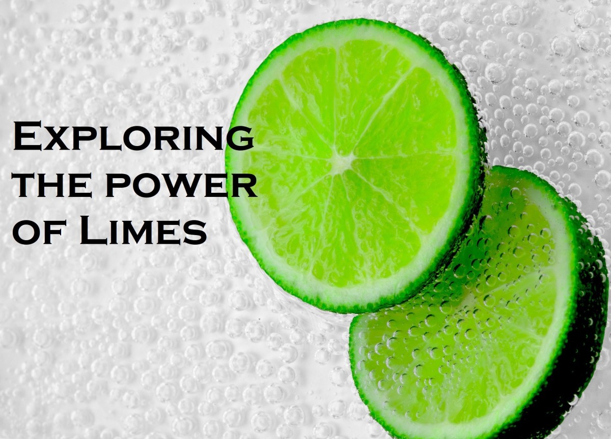 This article explores the amazing things you can make with limes!