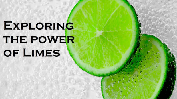 exploring-limes-recipes-to-help-you-harness-the-power-of-sour