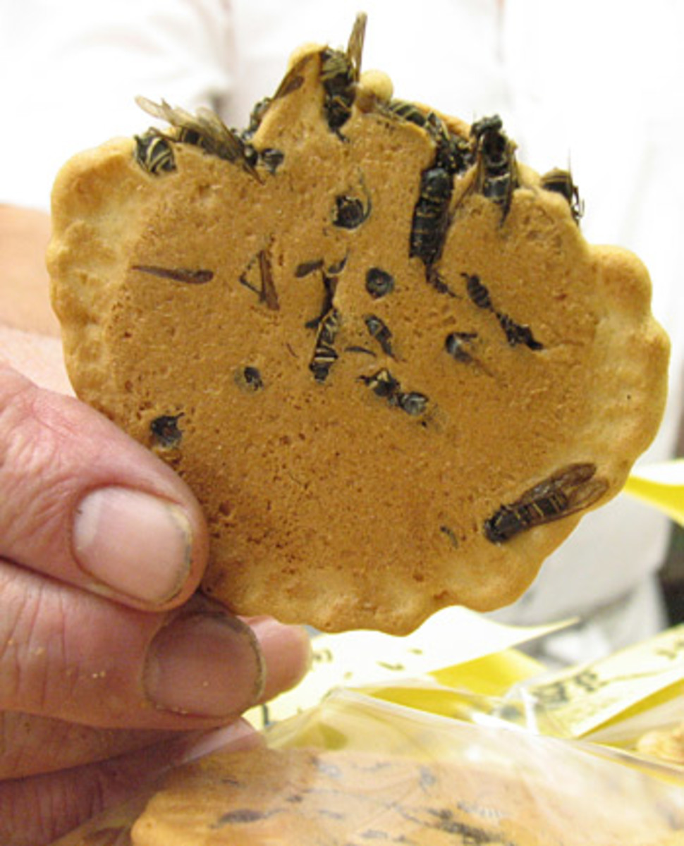 Wasp cracker, or jibachi senbei, from Japan