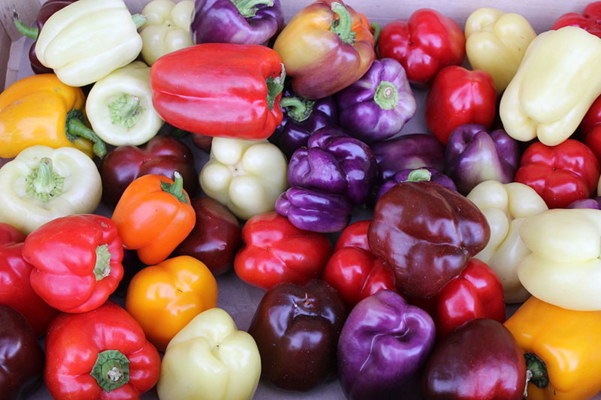 Less common bell pepper colors include purple and white. 