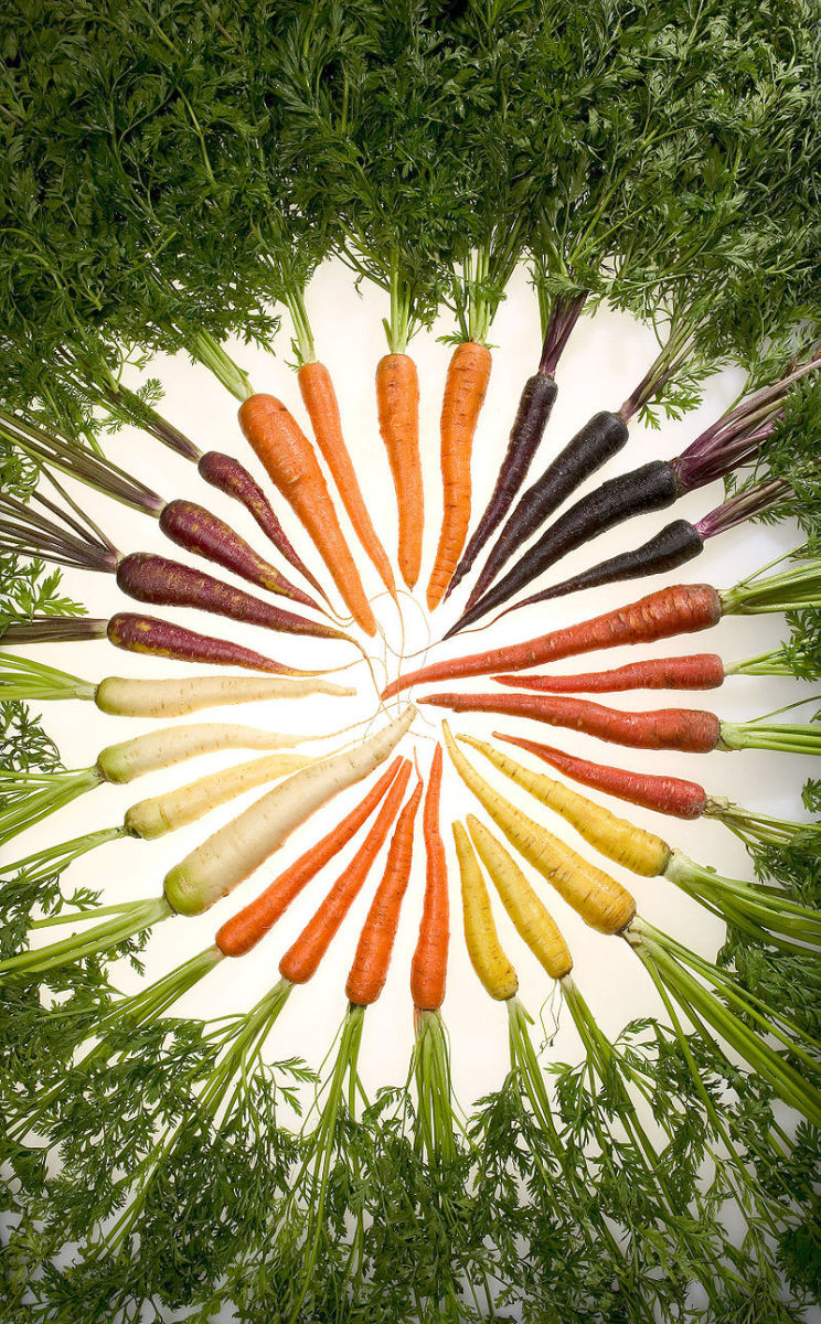 Various colors of carrots