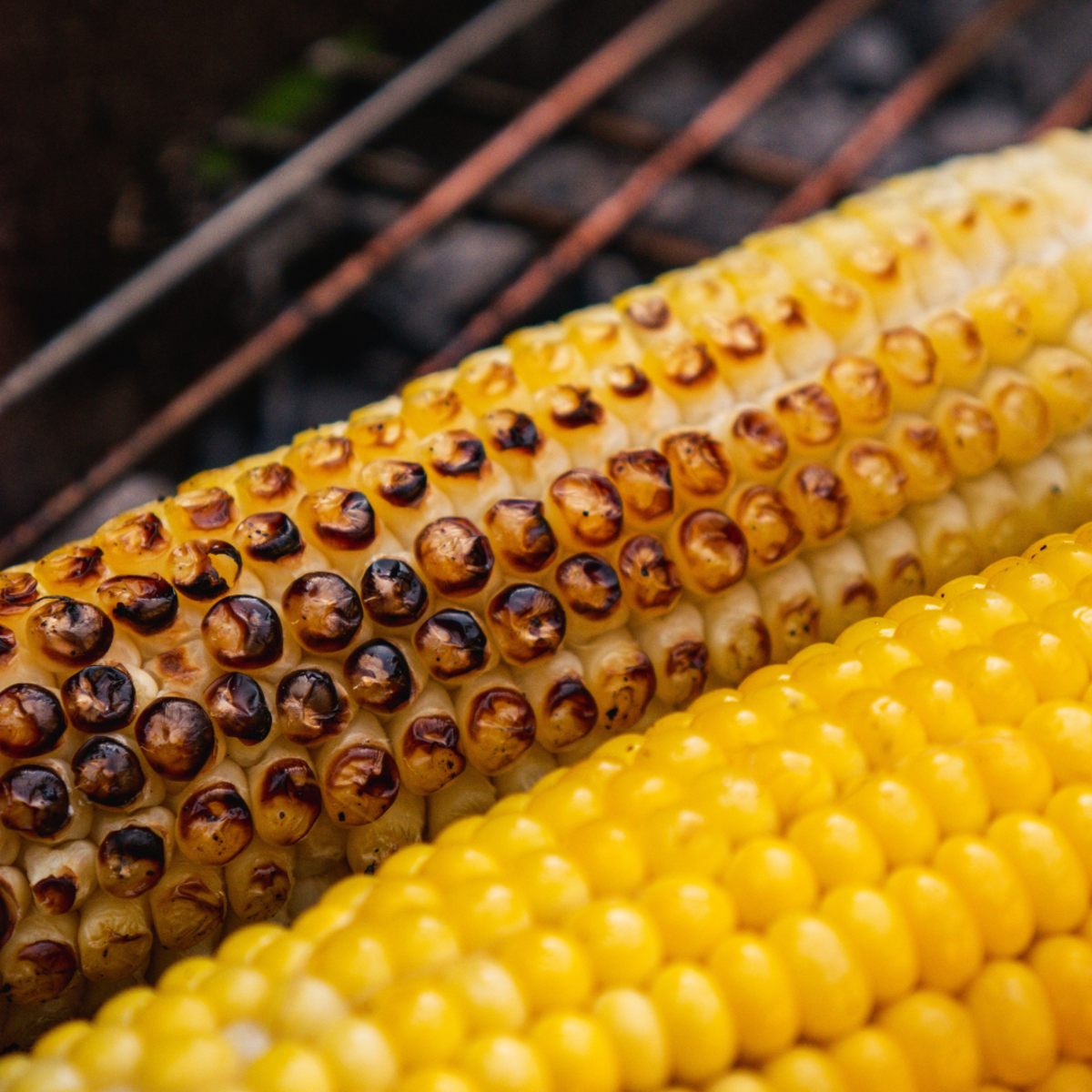 Learn four different ways to prepare delicious grilled corn on the cob.