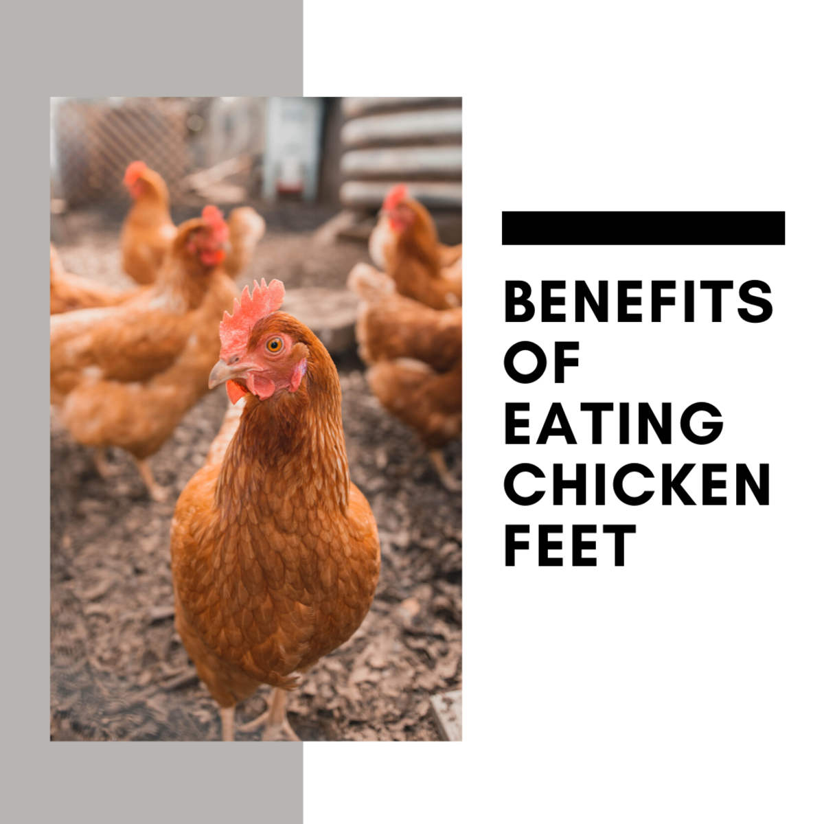 Chicken feet provide a surprising number of health benefits.